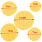 5/10pcs 6/7/8/9cm Face Round Makeup Remover Tool Natural Wood Pulp Sponge Cellulose