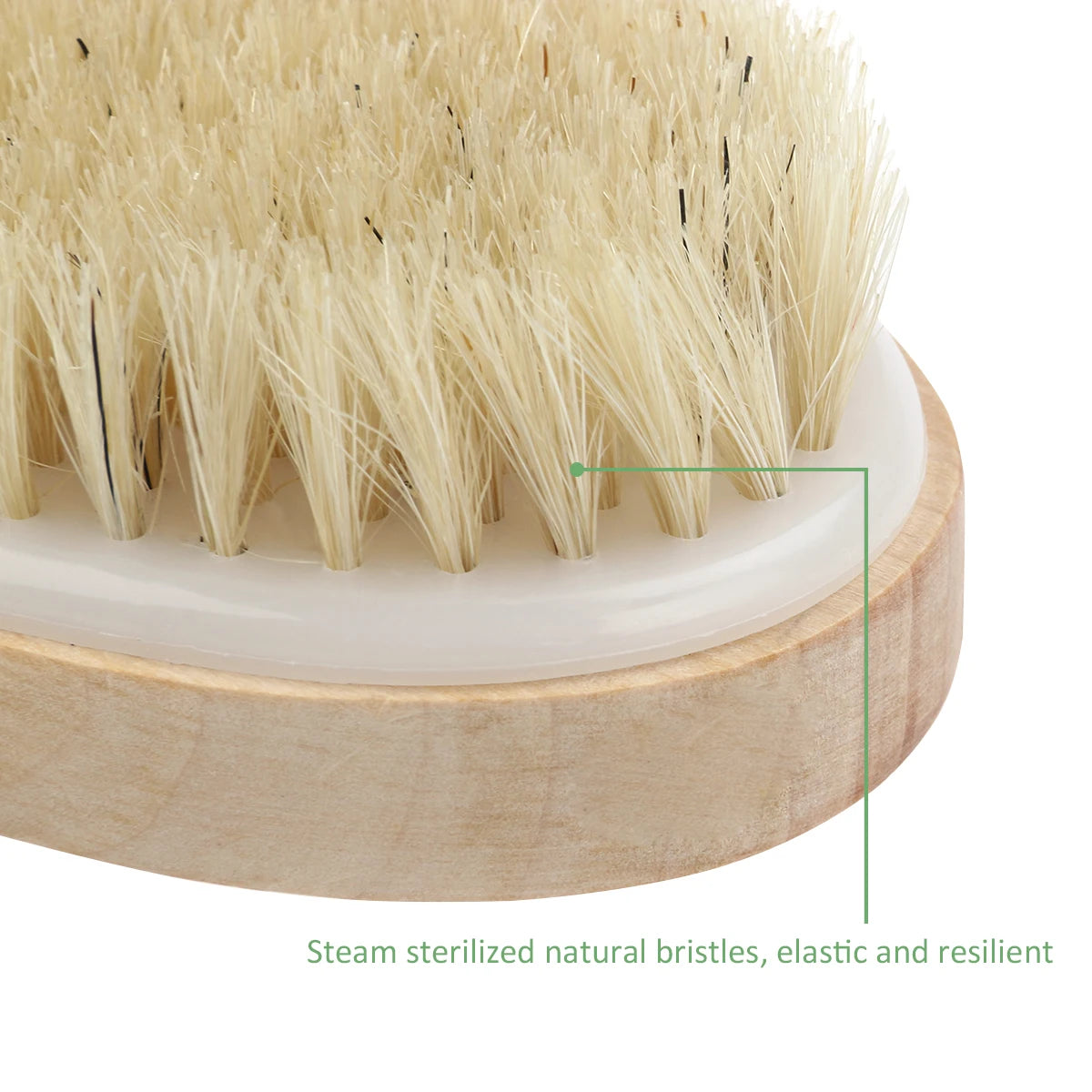 Natural Bristle Body Brush - Spa-Quality Dry Skin Exfoliating Brush