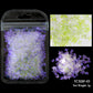 Holographic Nail Art Glitter - Laser Star & Butterfly Sequins (2g)