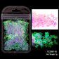 Holographic Nail Art Glitter - Laser Star & Butterfly Sequins (2g)