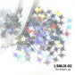 Holographic Nail Art Glitter - Laser Star & Butterfly Sequins (2g)