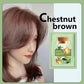 Natural Herbal Hair Dye Shampoo - 5-Minute Gray Coverage Treatment for Women & Men