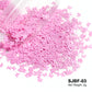 Holographic Nail Art Glitter - Laser Star & Butterfly Sequins (2g)