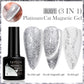 LILYCUTE 9D Cat Eye Magnetic Gel Nail Polish - 7ml