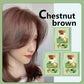 Natural Herbal Hair Dye Shampoo - 5-Minute Gray Coverage Treatment for Women & Men