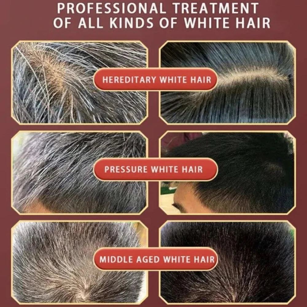 Natural Herbal Hair Dye Shampoo - 5-Minute Gray Coverage Treatment for Women & Men
