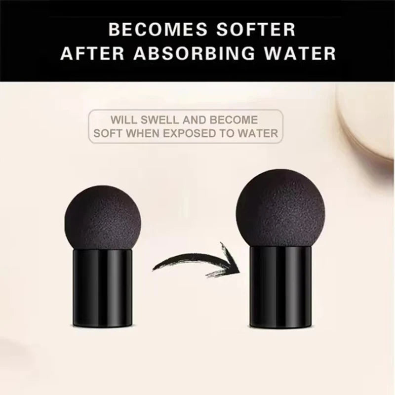 Mushroom Head Air Cushion CC Cream - Oil-Control BB Cream Moisturizing